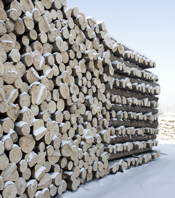 綠色環(huán)保標(biāo)準(zhǔn)板打造